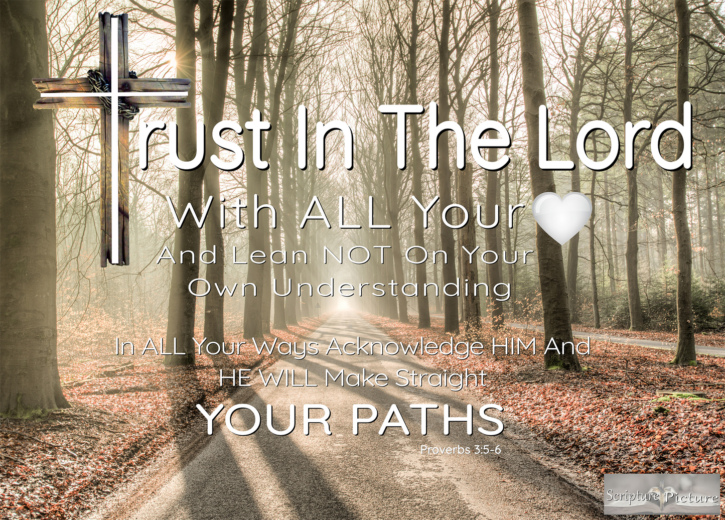 Trust, Proverbs 3:4-5