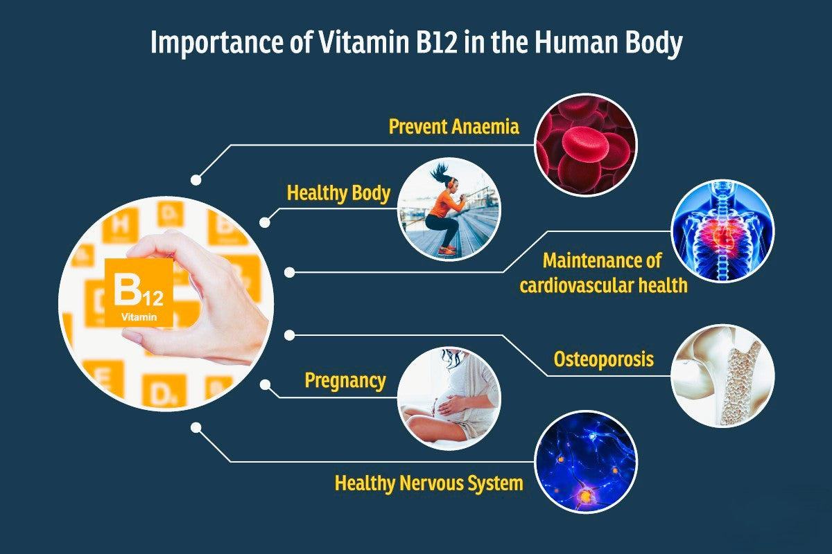 B-12 Vitamin Complex